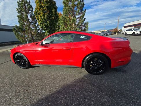 Used 2019 Ford Mustang Premium w/ Equipment Group 201A image 6