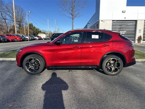 New 2025 Alfa Romeo Stelvio Sprint image 5