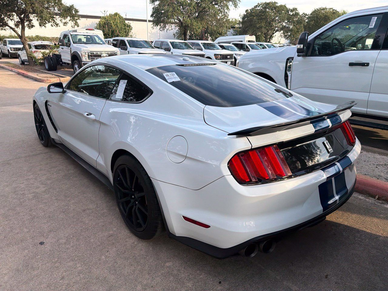 Used 2018 Ford Mustang Shelby GT350 w/ Electronics Package RWD image 2
