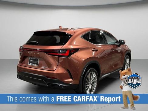 Used 2025 Lexus NX 350h image 3