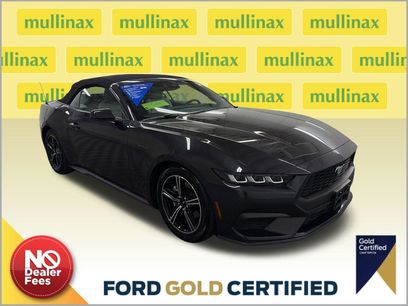 Used 2024 Ford Mustang Premium
