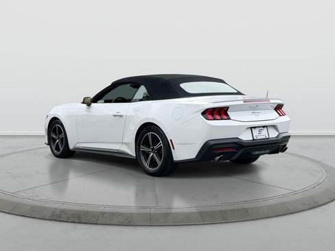 Used 2024 Ford Mustang Premium RWD image 6