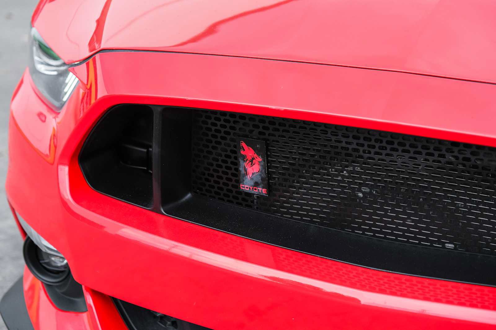 Used 2015 Ford Mustang GT Premium w/ GT Performance Package RWD image 7