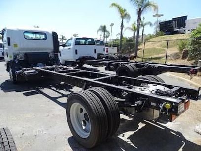 New 2024 Chevrolet Low Cab Forward 5500XD