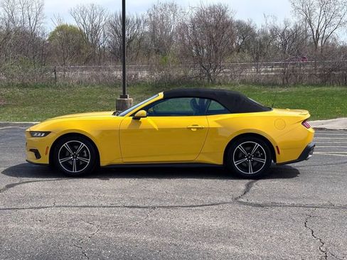 Used 2024 Ford Mustang Premium image 2