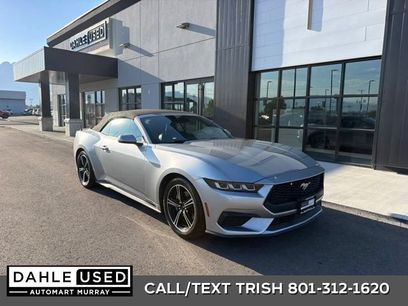 Used 2024 Ford Mustang Premium