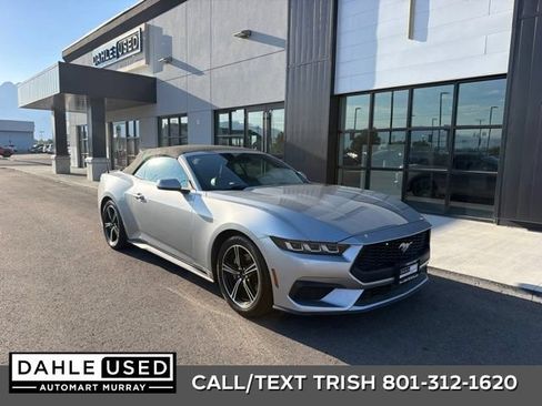 Used 2024 Ford Mustang Premium RWD image 1