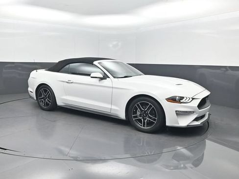 Used 2019 Ford Mustang Premium RWD image 25