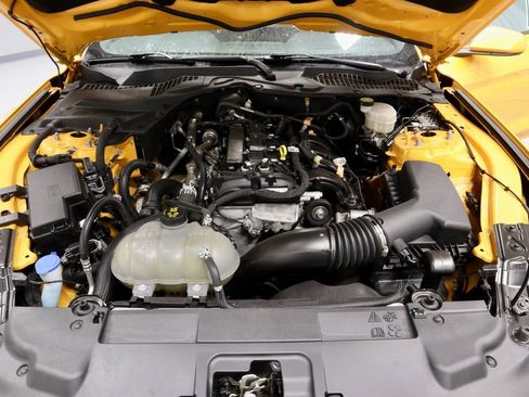 Certified 2022 Ford Mustang EcoBoost w/ Equipment Group 101A image 16