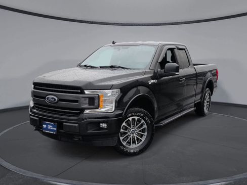 Used 2019 Ford F150 XLT w/ Equipment Group 302A Luxury image 1