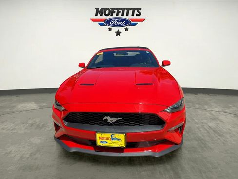 Used 2019 Ford Mustang Premium w/ Equipment Group 201A RWD image 8