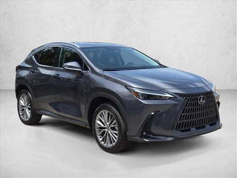 Used 2025 Lexus NX 350 AWD w/ Cold Area Package image 3