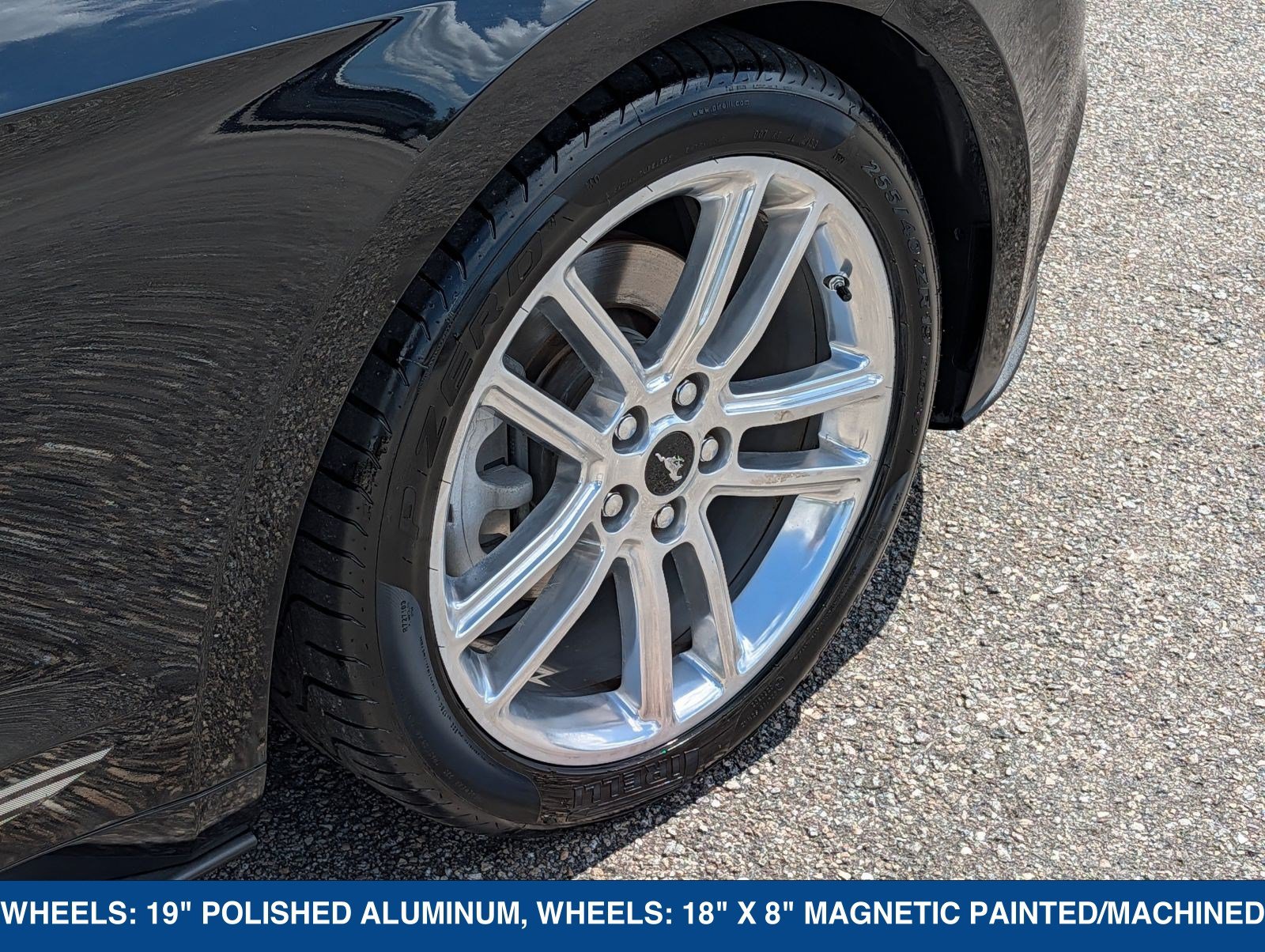 Used 2016 Ford Mustang Premium w/ Equipment Group 201A RWD image 13