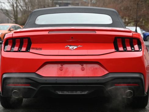 Used 2024 Ford Mustang Premium image 4