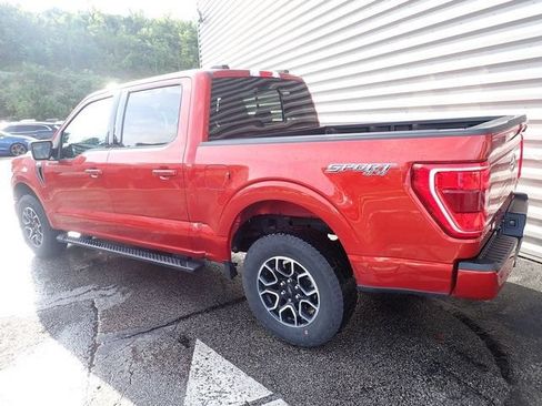 Used 2023 Ford F150 XLT w/ Equipment Group 302A High AWD/4WD image 4