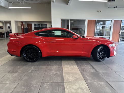 Used 2019 Ford Mustang Coupe w/ Ecoboost Performance Package image 9