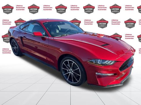 Used 2023 Ford Mustang Premium w/ Equipment Group 201A image 3
