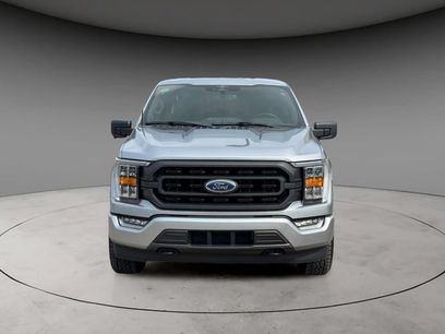 Used 2023 Ford F150 XLT w/ Equipment Group 302A High