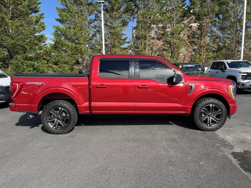 Used 2021 Ford F150 XLT w/ Equipment Group 302A High AWD/4WD image 11