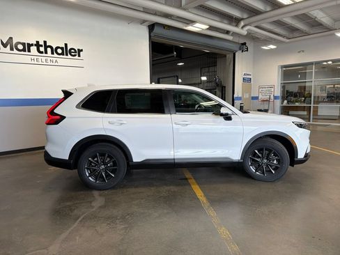 Used 2026 Honda CR-V EX-L image 4