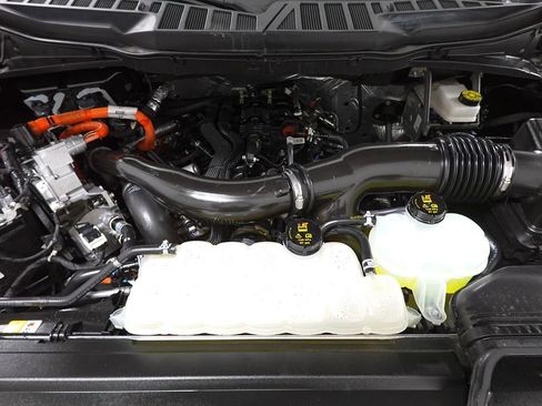 Certified 2025 Ford F150 XLT w/ Equipment Group 301A Standard image 29