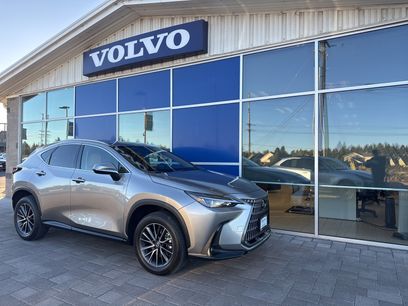 Used 2025 Lexus NX 350h AWD w/ Cold Area Package