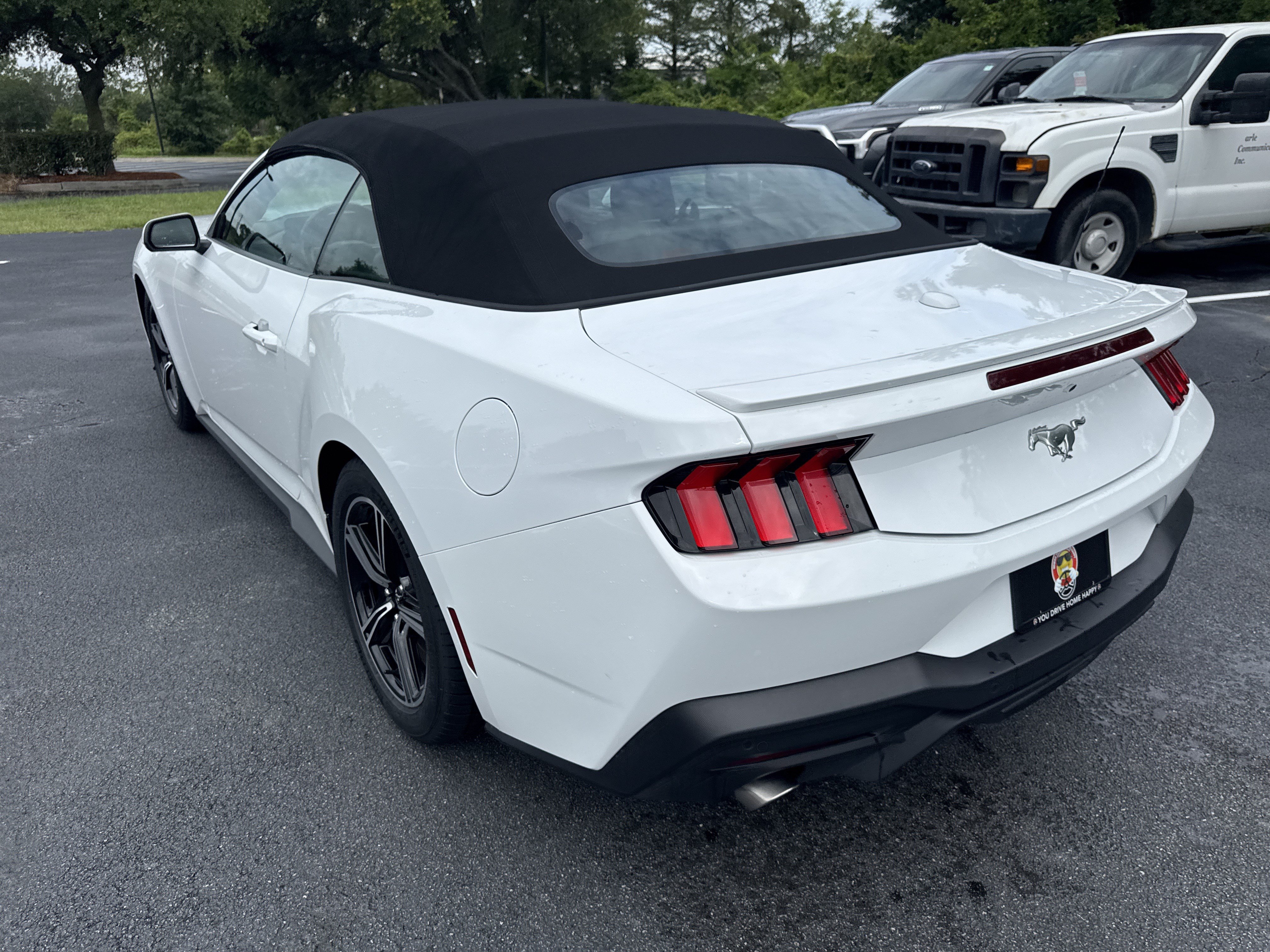 Used 2025 Ford Mustang Premium RWD image 9