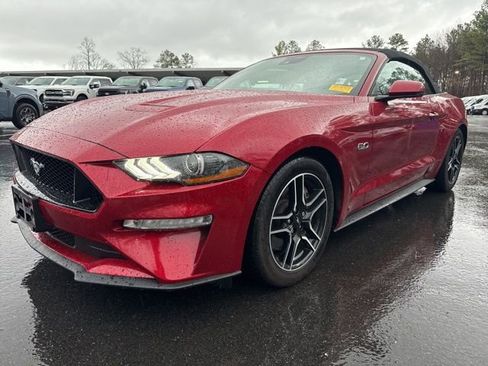 Used 2023 Ford Mustang GT Premium w/ Equipment Group 401A image 1