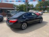 Used 2014 Honda Accord Sport image 4