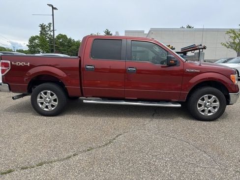 Used 2014 Ford F150 XLT w/ Equipment Group 302A Luxury AWD/4WD image 4