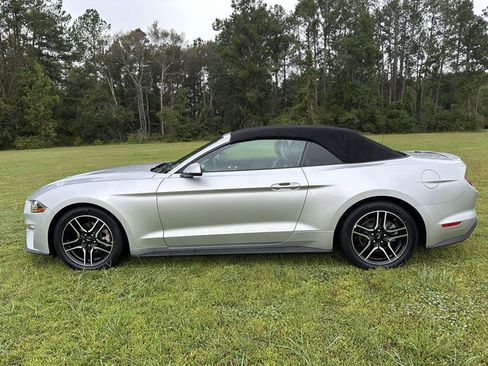 Used 2019 Ford Mustang Premium image 12