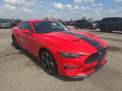 Used 2019 Ford Mustang Coupe RWD image 2