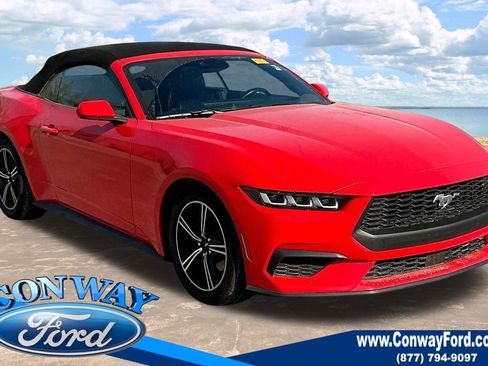 Used 2024 Ford Mustang Premium image 1