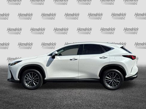Certified 2024 Lexus NX 250 FWD image 8