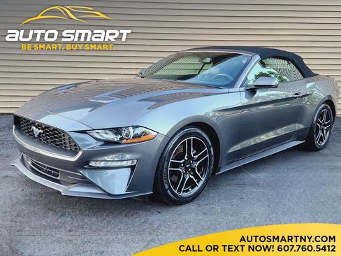 Used 2019 Ford Mustang Premium image 1
