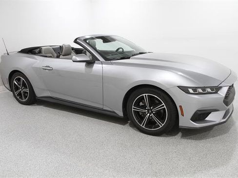 Used 2024 Ford Mustang Premium RWD image 1