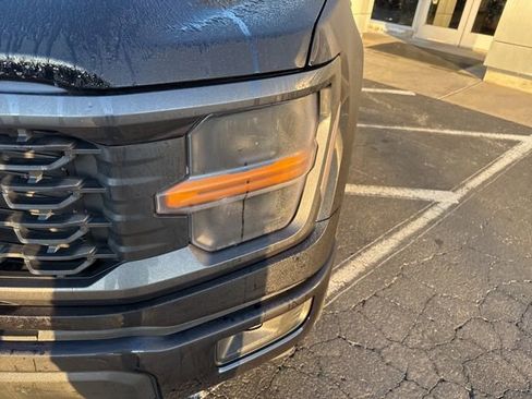 New 2025 Ford F150 STX w/ Equipment Group 200A image 40