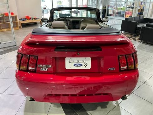 Used 1999 Ford Mustang Cobra RWD image 5