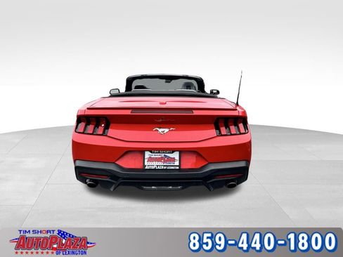 Used 2025 Ford Mustang Premium RWD image 11