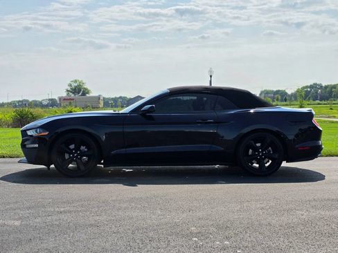 Used 2022 Ford Mustang Premium w/ Equipment Group 201A RWD image 7