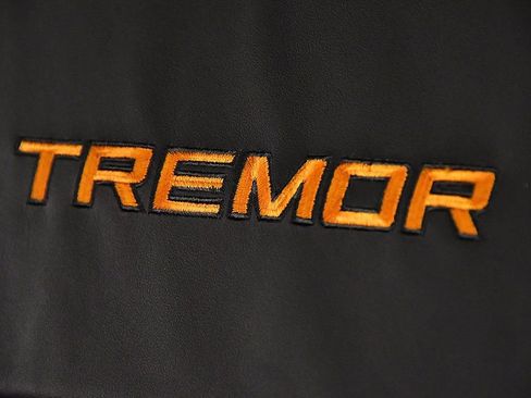 Used 2025 Ford Expedition Tremor image 30