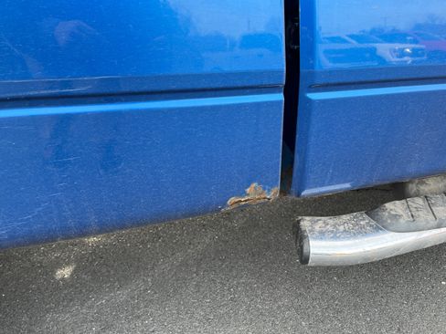 Used 2010 Ford F150 XLT image 5