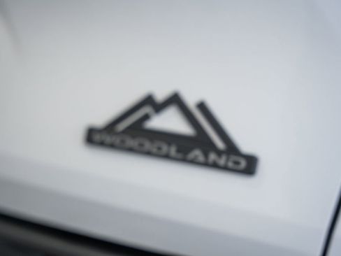 New 2026 Toyota Sienna XLE Woodland Edition image 8