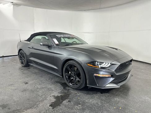 Used 2019 Ford Mustang Convertible w/ Equipment Group 101A image 3
