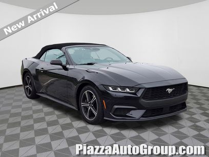 Used 2024 Ford Mustang Premium
