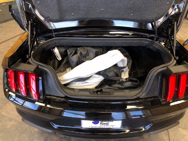 Certified 2022 Ford Mustang GT Premium w/ Equipment Group 401A RWD image 21