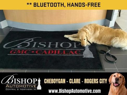 Used 2021 Ford EcoSport SE FWD image 12