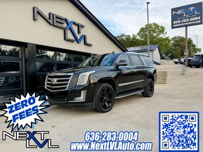 Used 2019 Cadillac Escalade Luxury