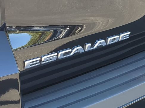 Used 2019 Cadillac Escalade Luxury image 13