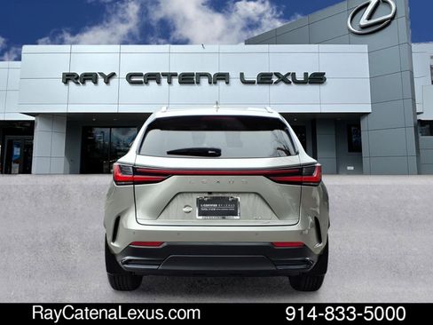 Certified 2023 Lexus NX 350 AWD image 5